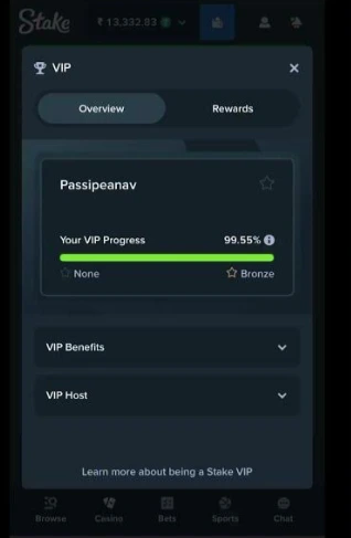 Stake VIP program Bronza